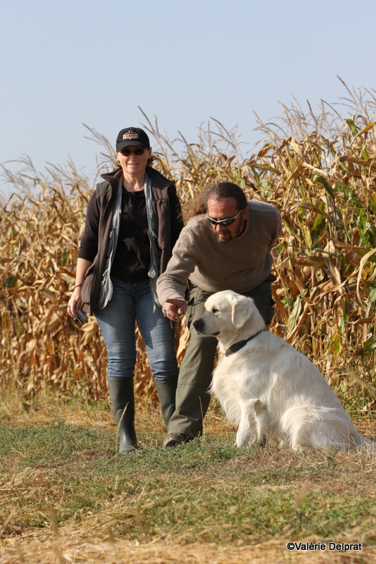 Field Erstein 09 (7).JPG